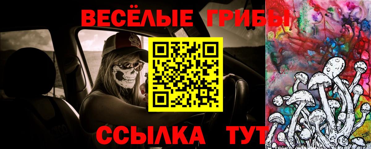 Ефремов  Галлюциногенные грибы прущие грибы  Вход с VPN  Галлюциногенные грибы GOLDEN TEACHER 